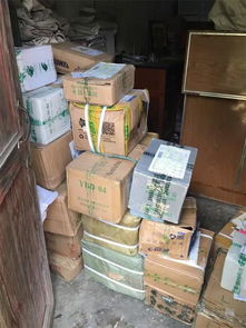 張金寶攜金財咨詢踐行社會責任，共筑鄉村教育未來——記“鄉村學校圖書室手拉手行動”